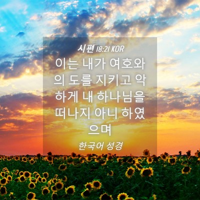 Picture 04 - 시편 18:21 KOR - 이는 내가 여호와의 도를 지키고 - Bible Verse Picture