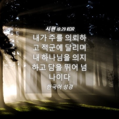 Picture 04 - 시편 18:29 KOR - 내가 주를 의뢰하고 적군에 달리며 - Bible Verse Picture