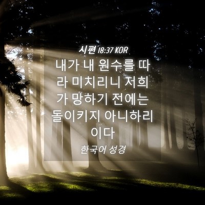 Picture 04 - 시편 18:37 KOR - 내가 내 원수를 따라 미치리니 - Bible Verse Picture
