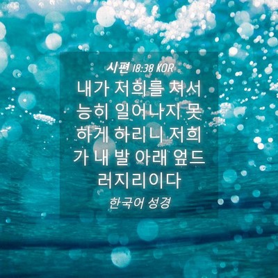 Picture 04 - 시편 18:38 KOR - 내가 저희를 쳐서 능히 일어나지 - Bible Verse Picture
