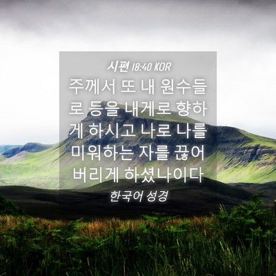 Picture 04 - 시편 18:40 KOR - 주께서 또 내 원수들로 등을 내게로 - Bible Verse Picture
