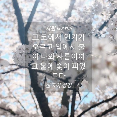 Picture 04 - 시편 18:8 KOR - 그 코에서 연기가 오르고 입에서 - Bible Verse Picture