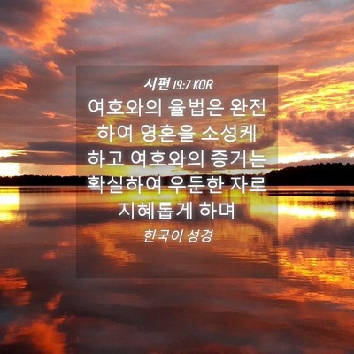 Picture 04 - 시편 19:7 KOR - 여호와의 율법은 완전하여 영혼을 - Bible Verse Picture