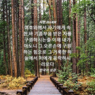 Picture 04 - 시편 20:6 KOR - 여호와께서 자기에게 속한 바 - Bible Verse Picture
