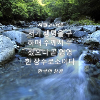 Picture 04 - 시편 21:4 KOR - 저가 생명을 구하매 주께서 주셨으니 - Bible Verse Picture