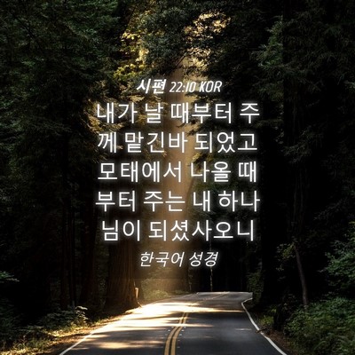Picture 04 - 시편 22:10 KOR - 내가 날 때부터 주께 맡긴바 되었고 - Bible Verse Picture
