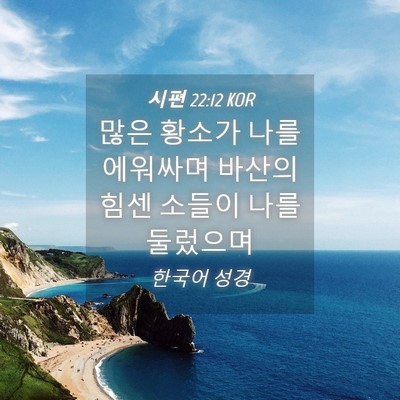 Picture 04 - 시편 22:12 KOR - 많은 황소가 나를 에워싸며 바산의 - Bible Verse Picture