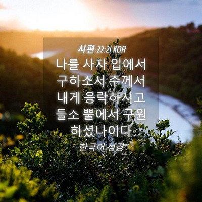 Picture 04 - 시편 22:21 KOR - 나를 사자 입에서 구하소서 주께서 - Bible Verse Picture