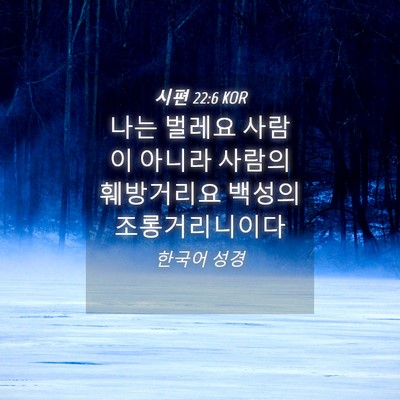 Picture 04 - 시편 22:6 KOR - 나는 벌레요 사람이 아니라 사람의 - Bible Verse Picture