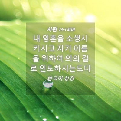 Picture 04 - 시편 23:3 KOR - 내 영혼을 소생시키시고 자기 이름을 - Bible Verse Picture