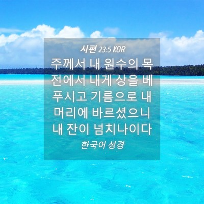 Picture 04 - 시편 23:5 KOR - 주께서 내 원수의 목전에서 내게 - Bible Verse Picture