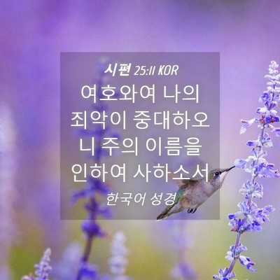 Picture 04 - 시편 25:11 KOR - 여호와여 나의 죄악이 중대하오니 - Bible Verse Picture