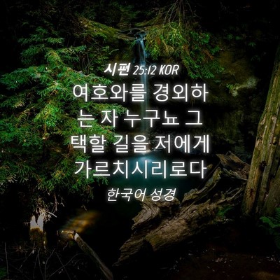 Picture 04 - 시편 25:12 KOR - 여호와를 경외하는 자 누구뇨 그 - Bible Verse Picture