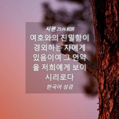 Picture 04 - 시편 25:14 KOR - 여호와의 친밀함이 경외하는 자에게 - Bible Verse Picture