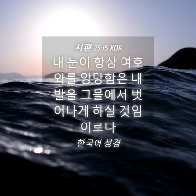Picture 04 - 시편 25:15 KOR - 내 눈이 항상 여호와를 앙망함은 내 - Bible Verse Picture
