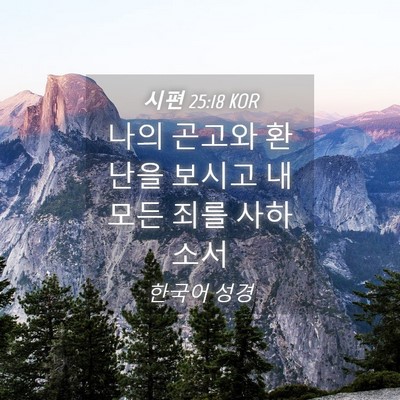 Picture 04 - 시편 25:18 KOR - 나의 곤고와 환난을 보시고 내 모든 - Bible Verse Picture