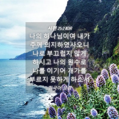 Picture 04 - 시편 25:2 KOR - 나의 하나님이여 내가 주께 - Bible Verse Picture