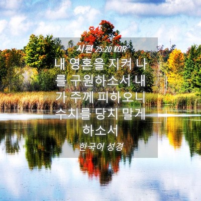 Picture 04 - 시편 25:20 KOR - 내 영혼을 지켜 나를 구원하소서 - Bible Verse Picture