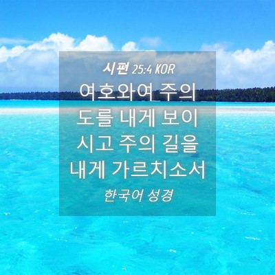 Picture 04 - 시편 25:4 KOR - 여호와여 주의 도를 내게 보이시고 - Bible Verse Picture