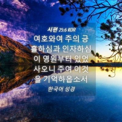 Picture 04 - 시편 25:6 KOR - 여호와여 주의 긍휼하심과 - Bible Verse Picture