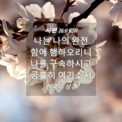 Picture 04 - 시편 26:11 KOR - 나는 나의 완전함에 행하오리니 나를 - Bible Verse Picture