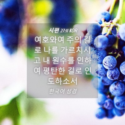 Picture 04 - 시편 27:11 KOR - 여호와여 주의 길로 나를 가르치시고 - Bible Verse Picture