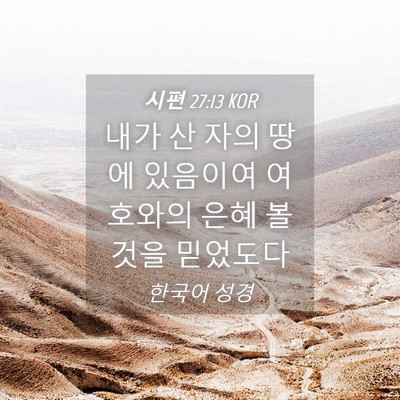 Picture 04 - 시편 27:13 KOR - 내가 산 자의 땅에 있음이여 - Bible Verse Picture