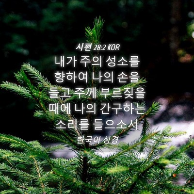 Picture 04 - 시편 28:2 KOR - 내가 주의 성소를 향하여 나의 손을 - Bible Verse Picture
