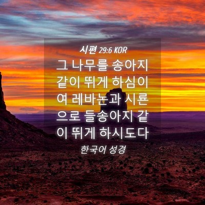 Picture 04 - 시편 29:6 KOR - 그 나무를 송아지 같이 뛰게 - Bible Verse Picture