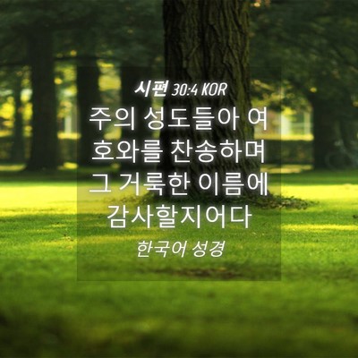 Picture 04 - 시편 30:4 KOR - 주의 성도들아 여호와를 찬송하며 그 - Bible Verse Picture