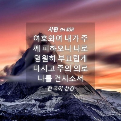 Picture 04 - 시편 31:1 KOR - 여호와여 내가 주께 피하오니 나로 - Bible Verse Picture