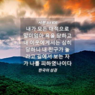 Picture 04 - 시편 31:11 KOR - 내가 모든 대적으로 말미암아 욕을 - Bible Verse Picture
