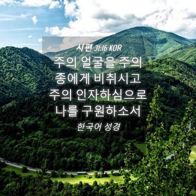 Picture 04 - 시편 31:16 KOR - 주의 얼굴을 주의 종에게 비취시고 - Bible Verse Picture