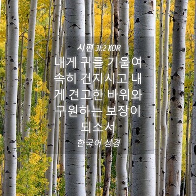 Picture 04 - 시편 31:2 KOR - 내게 귀를 기울여 속히 건지시고 - Bible Verse Picture