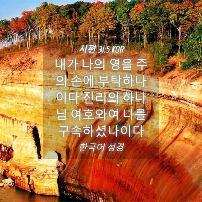 Picture 04 - 시편 31:5 KOR - 내가 나의 영을 주의 손에 - Bible Verse Picture