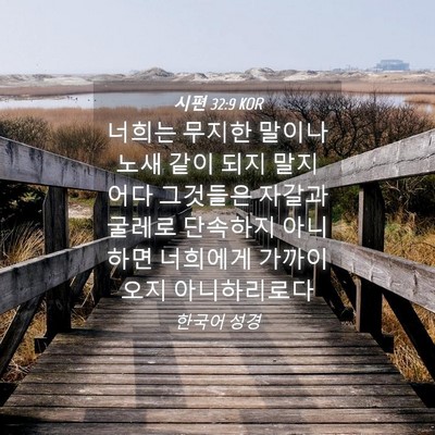 Picture 04 - 시편 32:9 KOR - 너희는 무지한 말이나 노새 같이 - Bible Verse Picture