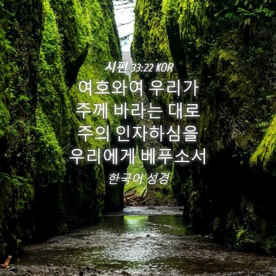 Picture 04 - 시편 33:22 KOR - 여호와여 우리가 주께 바라는 대로 - Bible Verse Picture