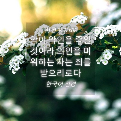 Picture 04 - 시편 34:21 KOR - 악이 악인을 죽일 것이라 의인을 - Bible Verse Picture