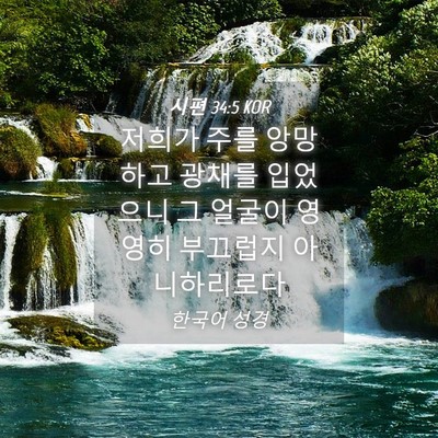 Picture 04 - 시편 34:5 KOR - 저희가 주를 앙망하고 광채를 - Bible Verse Picture