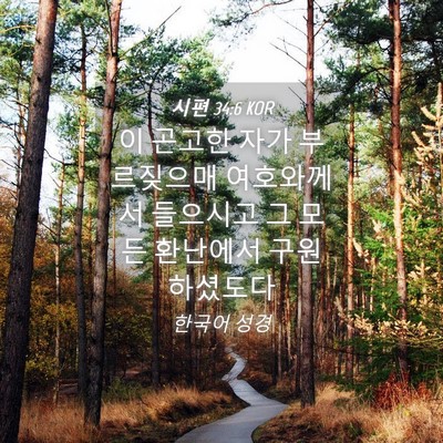 Picture 04 - 시편 34:6 KOR - 이 곤고한 자가 부르짖으매 - Bible Verse Picture