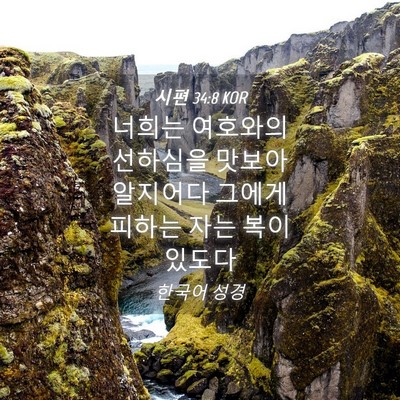 Picture 04 - 시편 34:8 KOR - 너희는 여호와의 선하심을 맛보아 - Bible Verse Picture