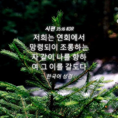Picture 04 - 시편 35:16 KOR - 저희는 연회에서 망령되이 조롱하는 - Bible Verse Picture