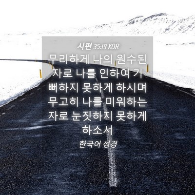 Picture 04 - 시편 35:19 KOR - 무리하게 나의 원수된 자로 나를 - Bible Verse Picture