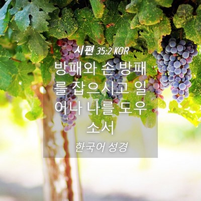 Picture 04 - 시편 35:2 KOR - 방패와 손 방패를 잡으시고 일어나 - Bible Verse Picture