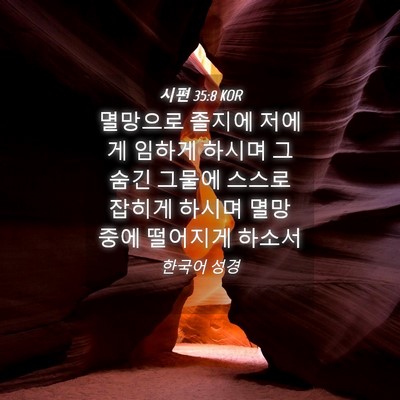 Picture 04 - 시편 35:8 KOR - 멸망으로 졸지에 저에게 임하게 - Bible Verse Picture