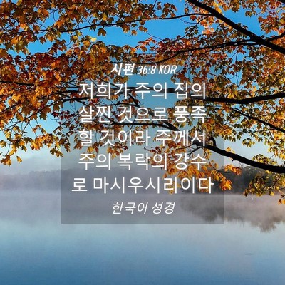 Picture 04 - 시편 36:8 KOR - 저희가 주의 집의 살찐 것으로 - Bible Verse Picture