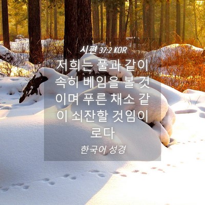 Picture 04 - 시편 37:2 KOR - 저희는 풀과 같이 속히 베임을 볼 - Bible Verse Picture