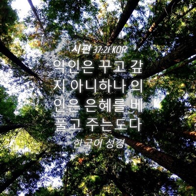 Picture 04 - 시편 37:21 KOR - 악인은 꾸고 갚지 아니하나 의인은 - Bible Verse Picture