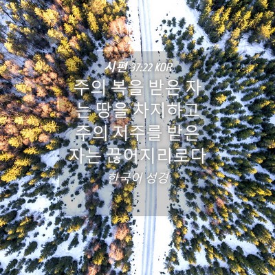 Picture 04 - 시편 37:22 KOR - 주의 복을 받은 자는 땅을 차지하고 - Bible Verse Picture