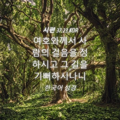 Picture 04 - 시편 37:23 KOR - 여호와께서 사람의 걸음을 정하시고 - Bible Verse Picture